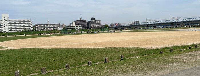 多摩川緑地野球場 is one of baseball stadiums.