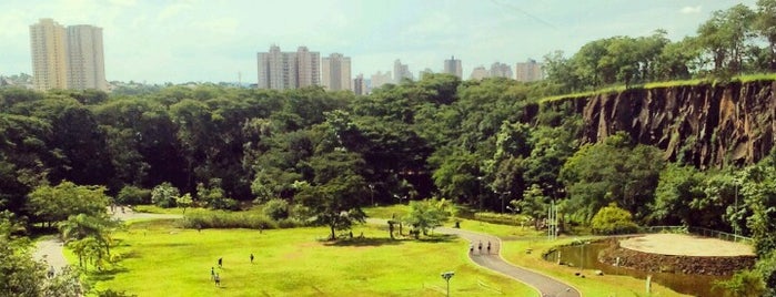Parque Prefeito Luiz Roberto Jábali (Curupira) is one of Tempat yang Disukai Jaqueline.