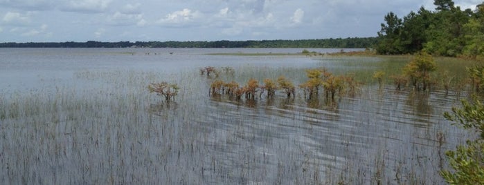 Lake Waccamaw State Park is one of North Carolina State Parks.