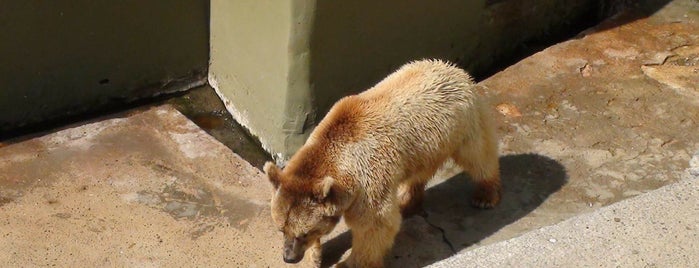 Faruk Yalçın Hayvanat Bahçesi is one of สถานที่ที่ Faruk ถูกใจ.