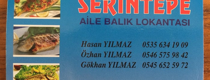 Serintepe Aile Balık Restaurant is one of Faruk'un Beğendiği Mekanlar.