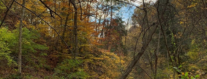 Fall Run Park is one of Waterfalls - 2.