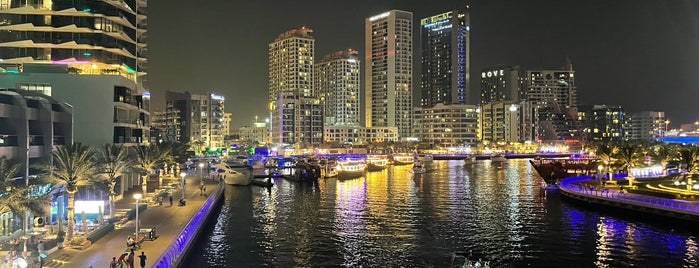 Falcon Oasis Cruise (Dhow Cruise) is one of Dubai.