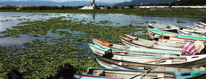 Lago De Chapala is one of Tempat yang Disukai FabiOla.