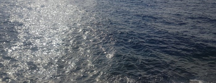 Blue Ocean is one of Locais curtidos por Feras.