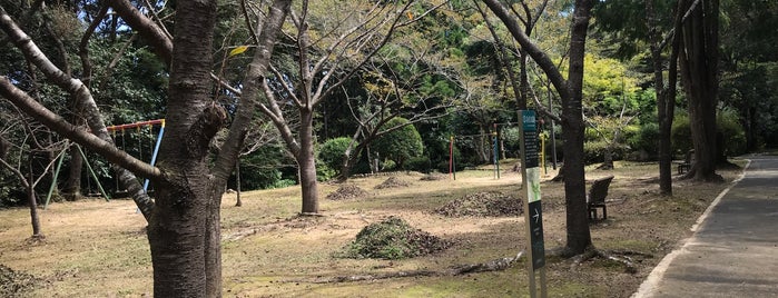 為松公園 is one of 行ったことのある城.