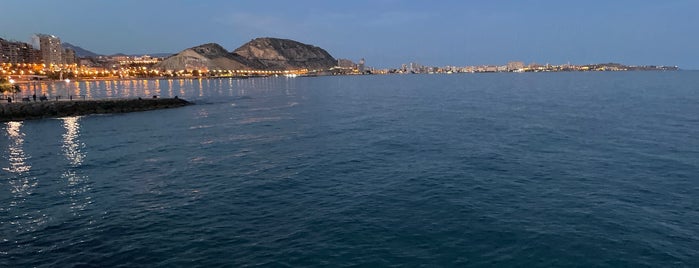 Pasarela Volvo Ocean Race is one of Alicante Architecture.