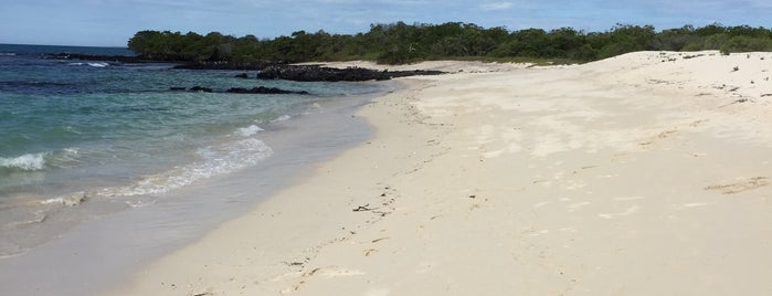 Playa Las Bachas is one of Islas Galápagos.