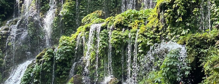 Banyumala Waterfall is one of endonezya.