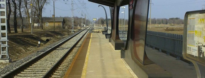 Niitvälja raudteejaam is one of Raudteejaamad/Rongipeatused.