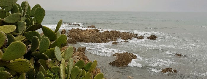 Spiaggia Di Cala Liberotto is one of Sardinia.