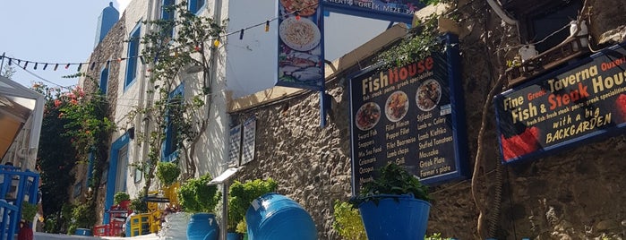 The Fish House Taverna is one of Bodrum.