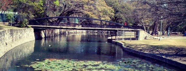 Brackenridge Park is one of Amazing Local Things - central Texas.