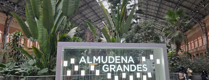 Jardín Tropical - Invernadero de Atocha is one of mad   cultura.
