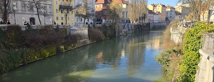 Šuštarski most is one of Ljubljana.
