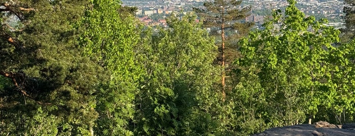 Vettakollen is one of Oslo 🇳🇴.