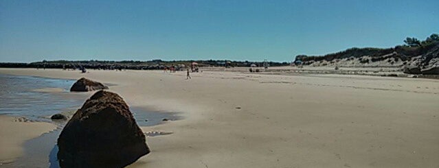 Harborview Beach is one of Lieux qui ont plu à Ann.