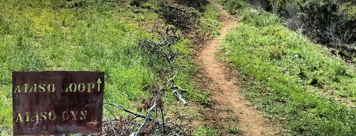 Aliso Trail is one of Santa Barbara Trip.