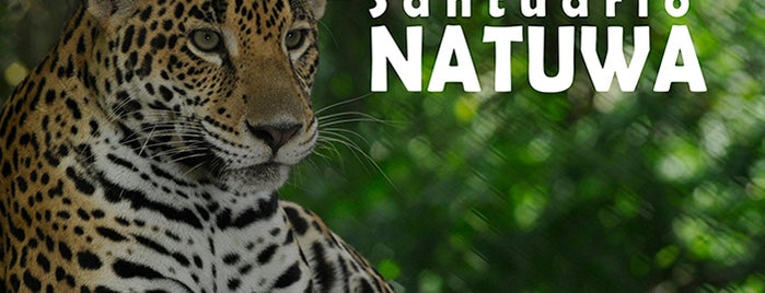 Wildlife Sanctuary Natuwa is one of Lugares guardados de Kimmie.