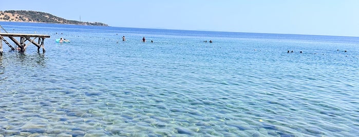 Çakır Beach is one of Assos beach.