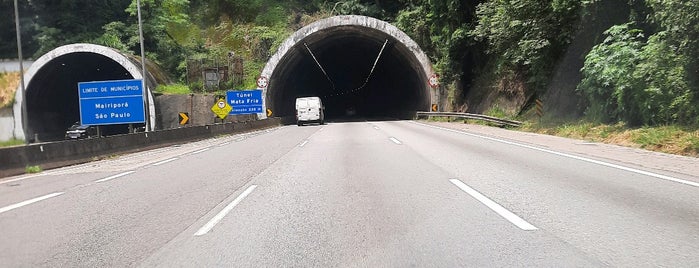 Túnel da Mata Fria is one of Tempat yang Disukai Steinway.