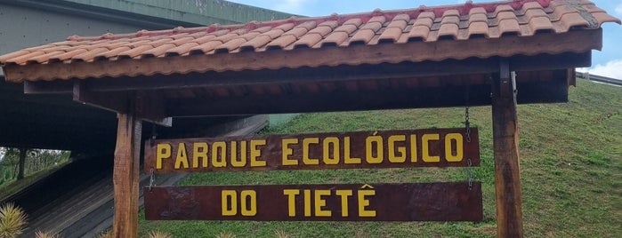 Parque Ecológico do Tietê is one of Tempat yang Disimpan Fabio.