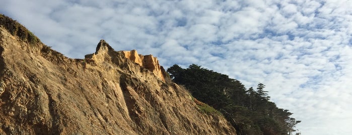 James V. Fitzgerald Marine Reserve is one of Date Night Is... a road trip from LA to SF.