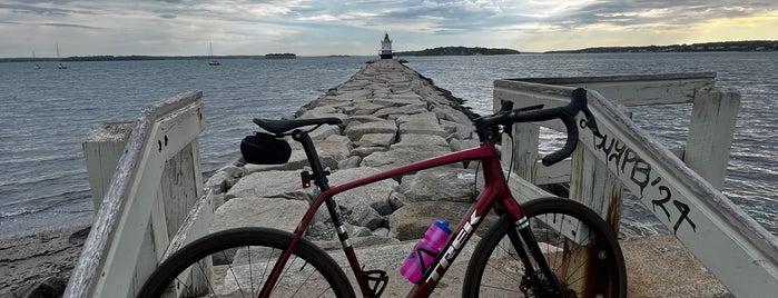 Spring Point Ledge Lighthouse is one of Maine Squeezies.