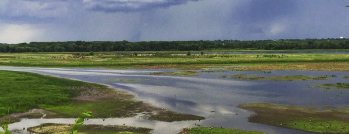 Minnesota River Valley National Wildlife Refuge-Long Meadow Lake Unit is one of Tempat yang Disukai David.