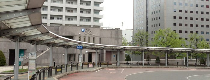 Sapporo Sta. North Exit Bus Stop is one of バス停(北).