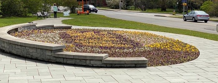 Highland Park Pansy Bed is one of Places I need to go again!.