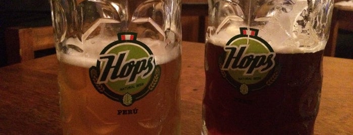 Hops Brew Pub is one of Locais curtidos por Claudia.