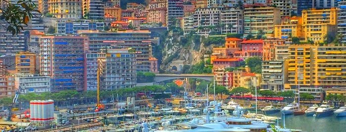 Port Hercule de Monaco is one of สถานที่ที่ Carl ถูกใจ.