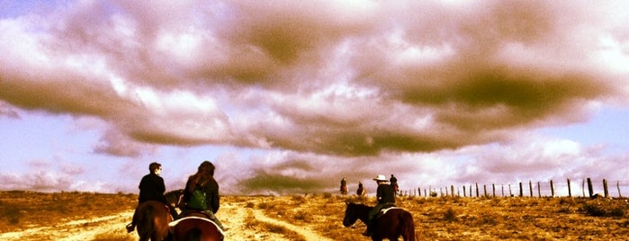 All the Pretty Horses Baja Rescue is one of Rosarito.