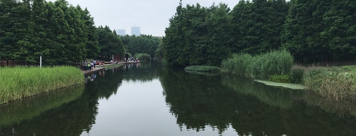 Houtan Wetland Park is one of Shanghai Public Parks.