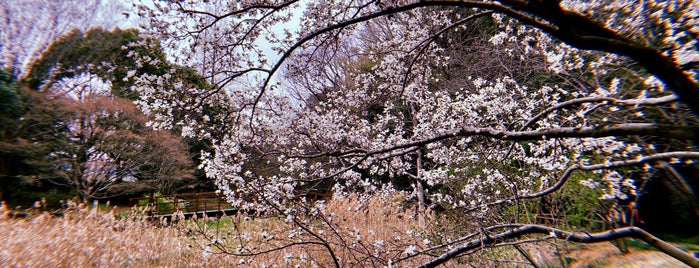 道保川公園 is one of 公園.