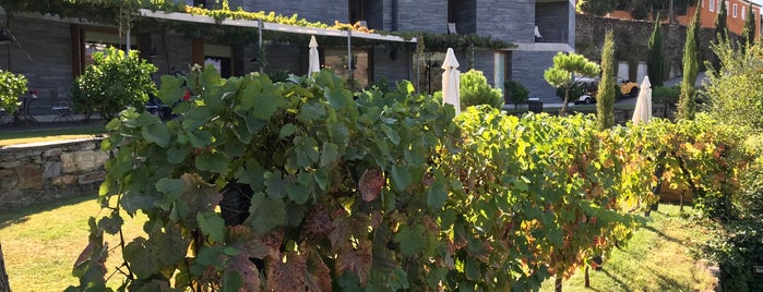 Quinta do Vallado Paso da Regua Douro is one of Portgual.