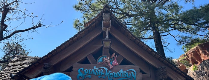 Splash Mountain is one of Tokyo Disneyland.