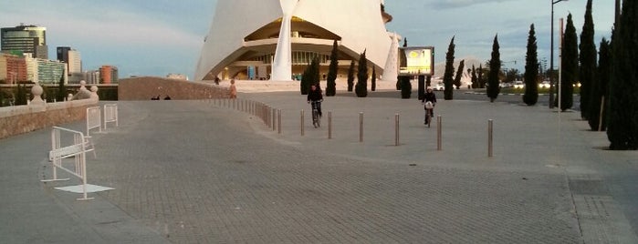 Palau de les Arts Reina Sofía is one of Comunidad Valenciana.