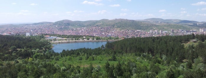 Çamlık Milli Parkı is one of ✖ Türkiye - Yozgat.