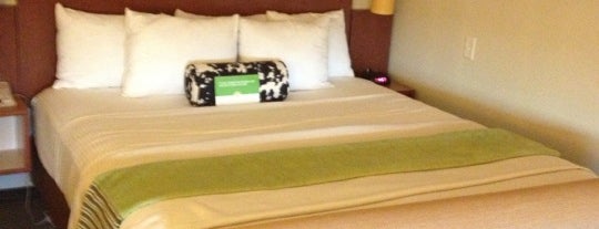 La Quinta Inn & Suites Dallas Love Field is one of Pabloさんのお気に入りスポット.