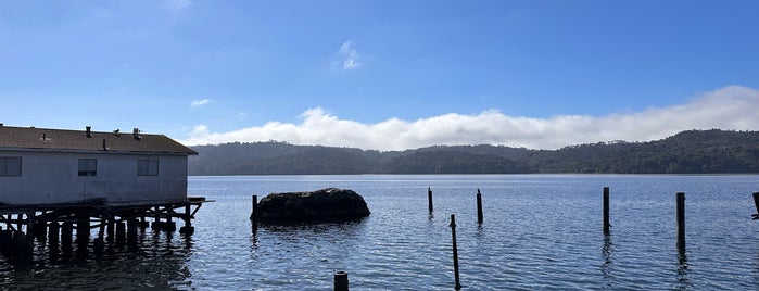 Hog Island Oyster Farm is one of Zachさんの保存済みスポット.