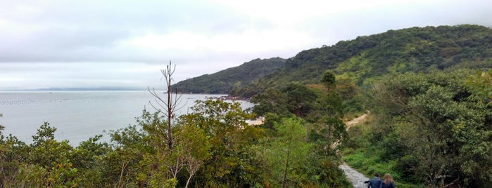 Trilha De Zimbros is one of Praias (aqui pertinho).
