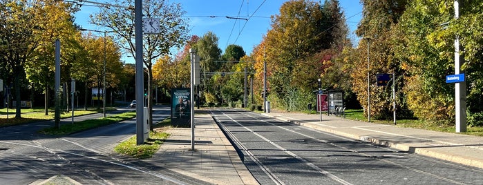 H Mattenberg is one of Öffentliches Verkehrsnetz.