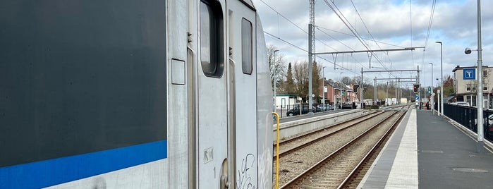 Station Turnhout is one of trains.