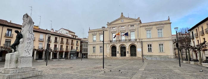 Plaza Mayor is one of Palencia.