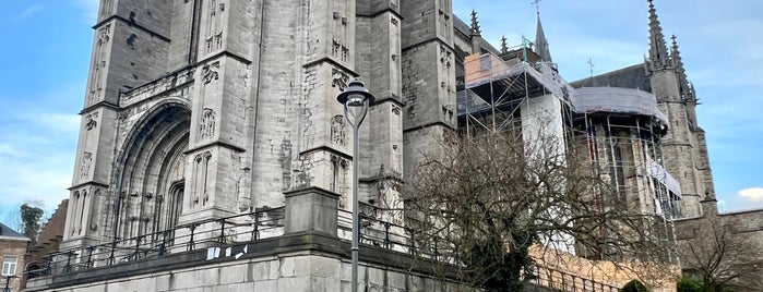 Collégiale Ste Waudru is one of Extérieur.