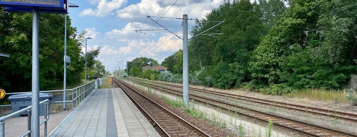 Bahnhof Schwedt (Oder) is one of Bahnhöfe DB.