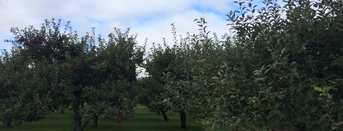 Heinz Orchard is one of Midwest - other.