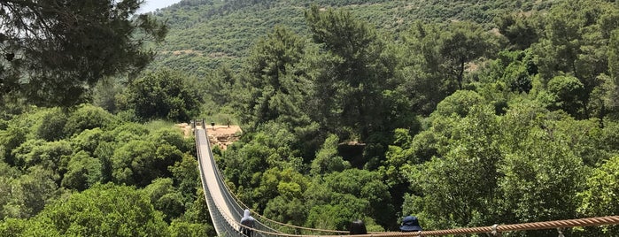 Nesher Hanging Bridge is one of Israel & Jordan 2018.